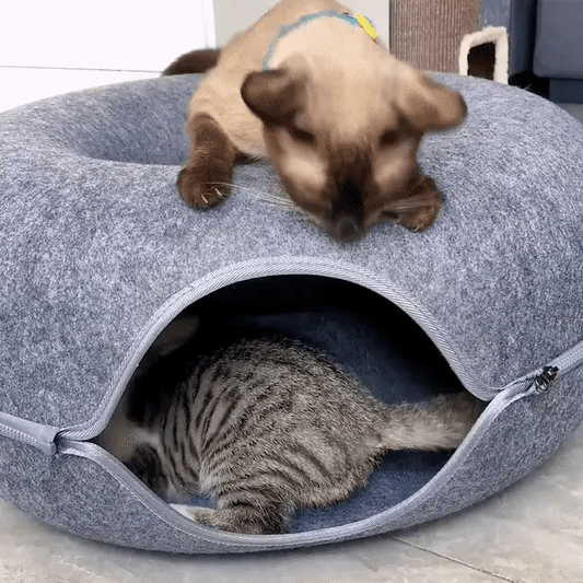 Prachtige kat tunnel bed !